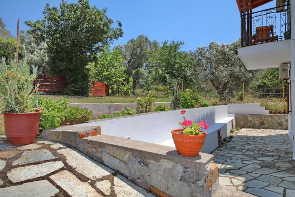 Elsa Stafilos Città di Skopelos Esterno foto